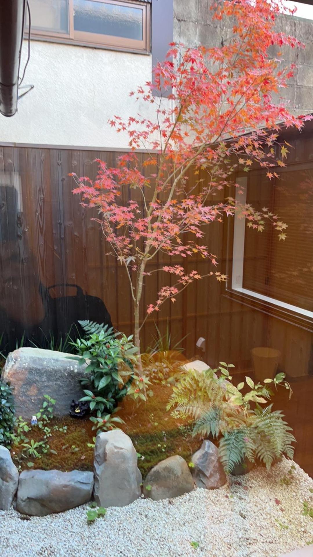 静雅の宿 เกียวโต ภายนอก รูปภาพ