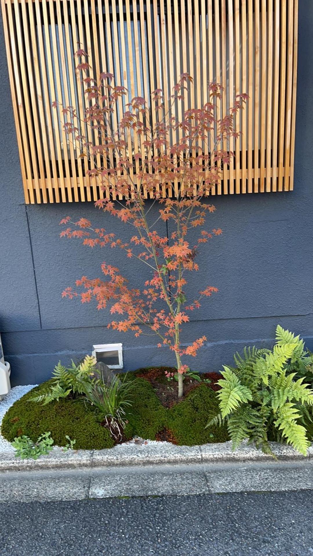 静雅の宿 เกียวโต ภายนอก รูปภาพ